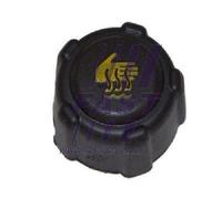 Coperchio Di Chiusura Originale FAST Per Serbatoio Del Refrigerante FT94707