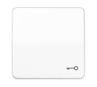 COPERCHIO/ELEMENTO DI COMANDO PER PROGRAMMI DI INTERRUTTORI DA INCASSO JUNG Interruttore a bilanciere Simbolo PORTA aws per pulsante CD 590 T WW