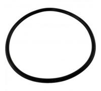 Coperchio Filtro O-Ring Hayward SPX3200S HAY-SPX3200S-BS