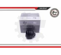 Coperchio filtro olio 31SKV187 ESEN SKV per BMW MINI
