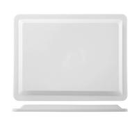 Coperchio Per Baconfrigorifero 40x30 Trasparente Giganplast