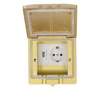 Coperchio per Scatola Pavimento con Coperchio Ribaltabile, Presa USB Integrata 2500 W 250 V 16 A IP55 Resistente Agli Agenti Atmosferici, Presa A Pavimento in Ottone
