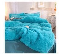 Coperchio PUCCHE Set GUOJM Coperchio Coperchio PIUPET Set di Quattro Petto AUTTUNGE E INVERNA CORALE FLEMA di Letto SPEGGI CHIEDE CHIEDO Chiedere COPERTURE ECCIELLO SONE SOONO (Colore: 10, Tutta: