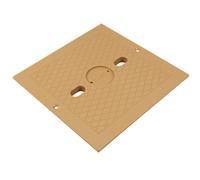 Coperchio Skimmer Quadrato Personalizzato Moldato 25538-509-000 (Inserto) - Tan