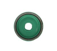 Coperchio, tamburo del freno AUGER 70587