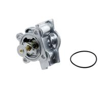 NTY Termostato, refrigerante compatibile con FIAT IVECO CTM-FT-005