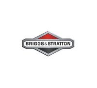 Coperchio valvola con guarnizione originale rasaerba BRIGGS & STRATTON 495757