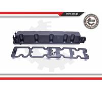 Coperchio valvole 48SKV049 ESEN SKV per PEUGEOT CITROËN