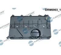 Originale Dr. Motor Automotive Coperchio Testata DRM6903 per Citroën Ford