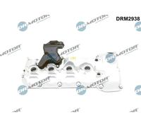 DR.MOTOR AUTOMOTIVE DRM2938 Coperchio punterie
