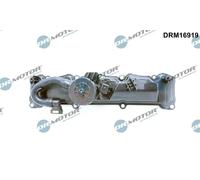 DR.MOTOR AUTOMOTIVE DRM16919 Coperchio punterie