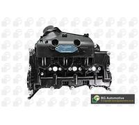 Coperchio valvole Sx RC42001 BGA per JAGUAR CITROËN LAND ROVER PEUGEOT