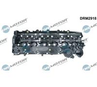 Coperchio valvole Testa a cilindro DRM2918 Dr.Motor Automotive per BMW 7 3 X5 5