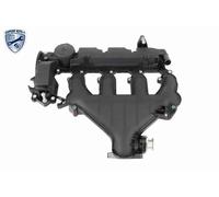 Coperchio valvole V42-1046 VAICO