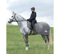 Coperta anti-mosche per cavalli Waldhausen Comfort Gris 155 cm