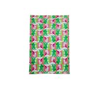 Wicked Grande Coperta IN Pile Confortevole Morbido Velluto Glinda & Elphaba