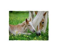 Coperta in pile, ca. 180 x 135 cm, con puledro