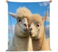 Coperta in pile flanella 130 x 160 cm, soffice e calda, perfetta per il soggiorno o la camera da letto con Fotografia Carina Di Alpaca Da Fattoria stampa, leggera e lavabile Beige