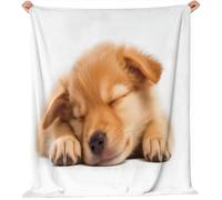 Coperta in pile flanella 130 x 160 cm, soffice e calda, perfetta per il soggiorno o la camera da letto con Fotografia Semplice E Carina Di Cuccioli stampa, leggera e lavabile Bianco