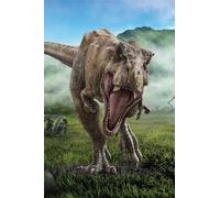 Coperta In Pile Jurassic World 100X150Cm