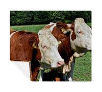 Coperta in pile per animali bovini mucche pascolo natura mucca, coperta di lusso super morbida