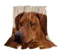 Coperta in pile per divano leggero in peluche sfocato Rhodesian Ridgeback Dog