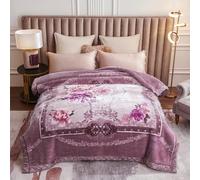 Coperta In Visone Coreano Queen Size Pesante 80x90 Pollici, Coperta In Peluche In Pile Morbida E Calda Per Tutte Le Stagioni Coperta In Visone Reversibile A 2 Strati(Size:80x90 Inches,Color:Color09)