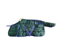 Coperta invernale per cavalli, impermeabile e antivento, abbigliamento equestre,