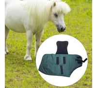 Coperta invernale per cavalli, protezione equina, telo antipioggia