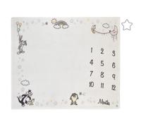 Coperta Milestone Looney Tunes Best Buds, bianca con blu pastello, rosa e giallo, Bugs Bunny, Titti, il diavolo della Tasmania e il gatto Silvest