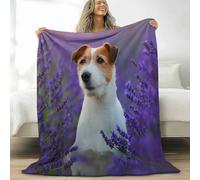 Coperta Peluche Morbido Lavanda Campo di Fiori Animale Cane per Divano Sedia, Morbidi Coperte Plaid Flanella Paesaggio Naturale - Caldo Trapuntino Sherpa Peluche Morbido Copriletto Letto, 180 x 220 cm