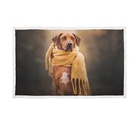 Coperta per cani con stampa calda Rhodesian Ridgeback coperte