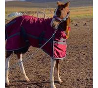 Coperta per cavalli, calda, ad alte prestazioni, antivento, coperta invernale