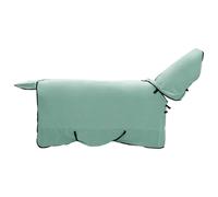 Coperta per cavallo, verde speciale, 165 cm, in poliestere, traspirante, impermeabile, antivento, con cinghia regolabile, per pascolo, stalla e inverno, antistrappo, protezione per collo e petto