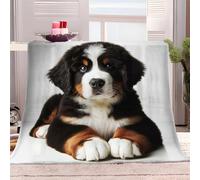 Coperta Pile Animale Bovaro Del Bernese 130x150 cm Coperta per Divano Plaid Flanella Calda Morbida, Coperta in Pile in Microfibra, Coperte Leggere Traspiranti per Tutte le Stagioni