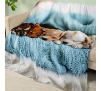 Coperta Pile Carino Cane Blu Plaid Matrimoniale Flanella Coperta Letto Matrimoniale Lavabile Copriletto Matrimoniale Morbida Blanket Quattro Stagioni Plaid Divano Durevole Coperte 220x240cm