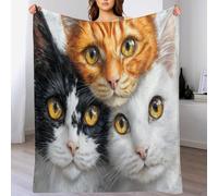 Coperta Pile In Velluto Il Gatto Che Ha Sfondato Il Muro Flanella Morbida Calda Soffice Decorativa Per Coperta Plaid Divano E Letto Decorazioni Casa Poltrona 220 X 240 Cm Animali Dei Cartoni Animati