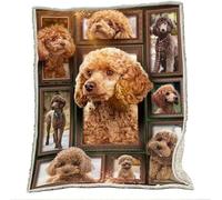 Coperta Pile Matrimoniale 220x240 Barboncino Marrone, Coperta Plaid di Flanella Letto Matrimoniale, Copridivano in Microfibra Morbida, Coperta Termica per Plaid Divano Copriletto