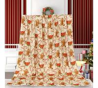 Coperta Plaid Letto Matrimoniale Omino di Pan di Zenzero Natalizio, Coperte per Adulti/Matrimoniale, Bastoncini di Zucchero Plaid Pile in Flanella Morbida Caldo per Letto e Divano 220x240cm AX78