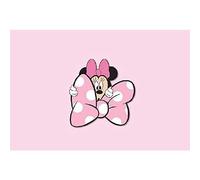 Coperta Soft Pile per neonati varie grafiche 75 x 100 cm (Minnie KU0311WD)