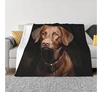 Coperta stampata con cane Retriever, per tutte le stagioni, super morbida e accogliente, coperta in flanella calda, per divano e letto