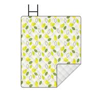 Coperte da picnic impermeabili e coperta da picnic all'aperto - Coperte da picnic impermeabili tappeti pieghevoli,Tappeto lavabile in lavatrice a prato lavabile Usa un po