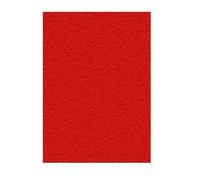 E_0002_S8404087 Displast Copertine per rilegatura Displast Rosso A4 Cartone 50 P