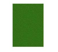 E_0002_S8404088 Displast Copertine per rilegatura Displast Verde A4 Cartone 50 P