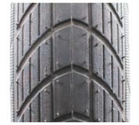 Copertone Big Apple Schwalbe per carrozzina 05117016