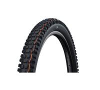 Pneumatico Pieghevole Schwalbe ALBERT TRAIL PRO 29x2.50 Evolution Addix Soft TLR