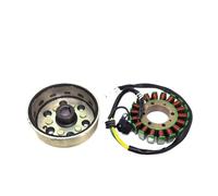 Copertura bobina magnete rotore volano compatibile con motore ATV Quad YP250 250CC YP260 260CC YP300 300CC unità 104MM(Verison 1)