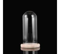 Copertura Decorativa La Decorazione Della Casa in Immortal Flower Cupola