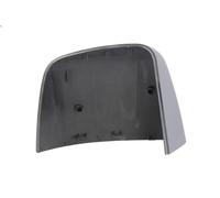 Copertura degli specchietti retrovisori laterali BLIC 6103-03-2001251P