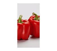 Copertura della porta Banner personalizzati Due peperoni Campana Rossa Grande Banner Segno Wall Banner Decor Foto Sfondo Benvenuto Holiday Party Decor